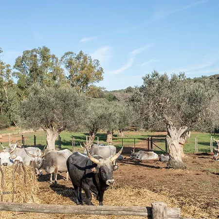 Enrica - La Valentina Farm stay